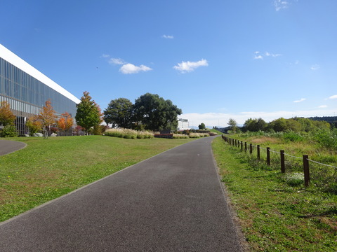 DSC08275