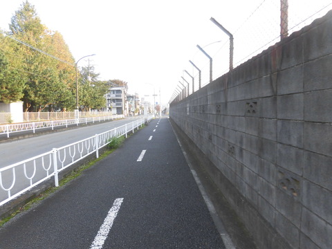CIMG9484