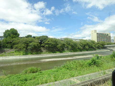 DSC07989