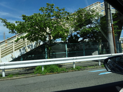 DSC00672