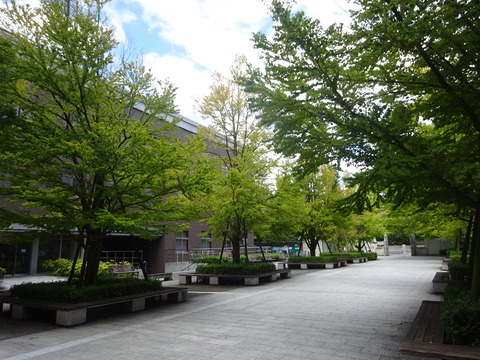DSC07992