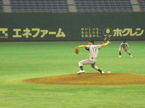 baseball 203