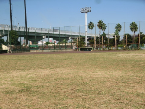CIMG6851