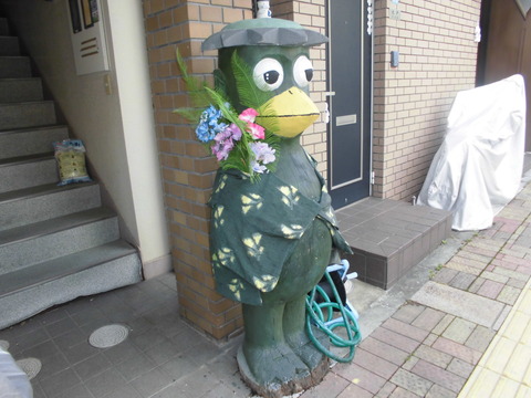 CIMG1446