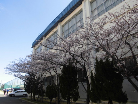 CIMG9191