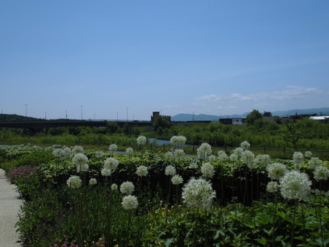 CIMG9982