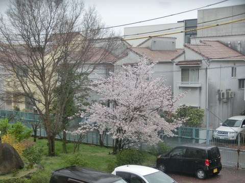 CIMG4135