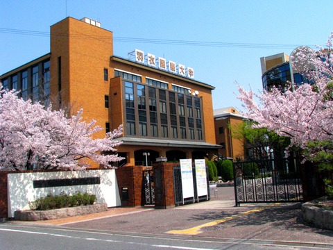 羽衣正門 桜2011a