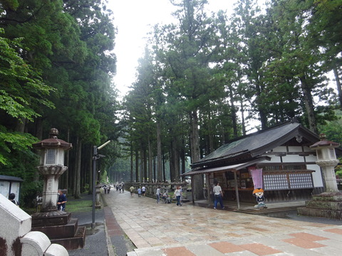 DSC01202
