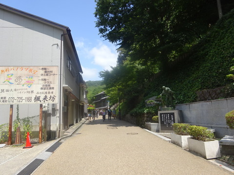 DSC07884