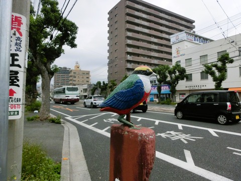 CIMG7308