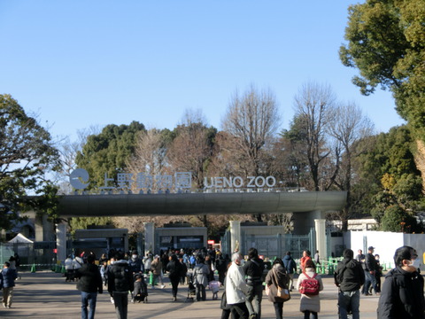 CIMG5461