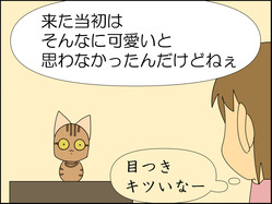 イラスト_006