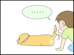 ブログ0007