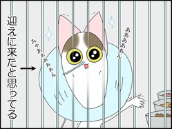 イラスト_022