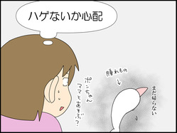 イラスト_007