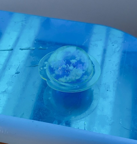 IMG_0407