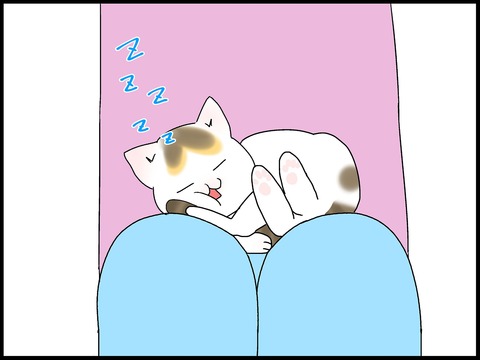 ブログ0003