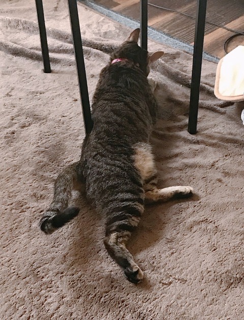 IMG_5212 - コピー