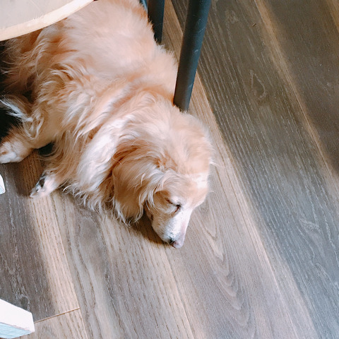 8F3A5AAD-E695-4BB2-8A69-274E75196F00