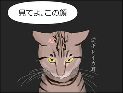 イラスト_022