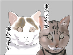イラスト_011