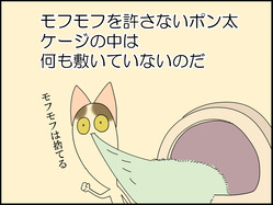 イラスト_060