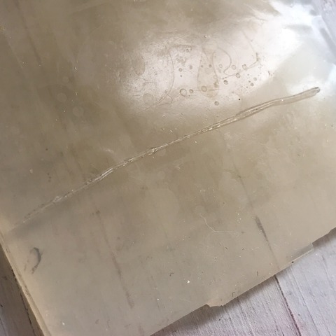 S__19791899