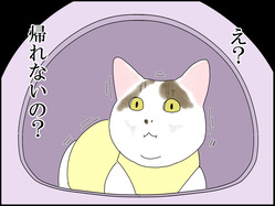 イラスト_073