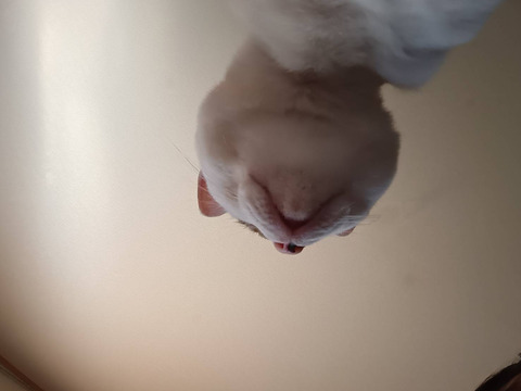 15192_0