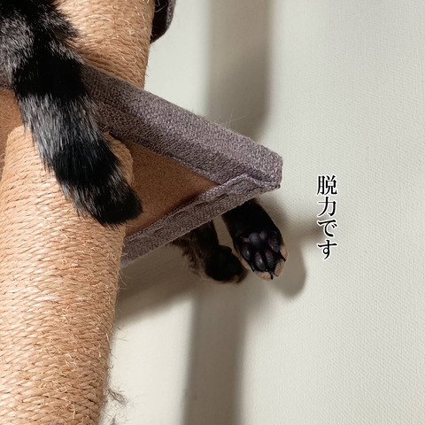 21080_0