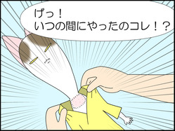 イラスト_051