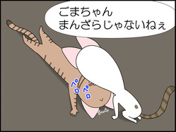 イラスト_007