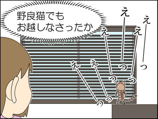イラスト_003