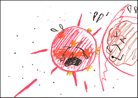 １７
