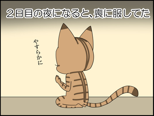 イラスト_031