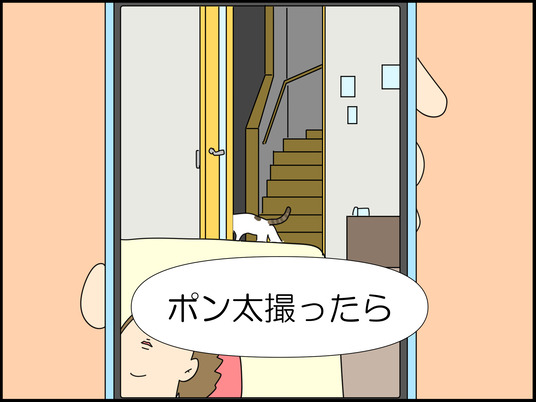イラスト_013