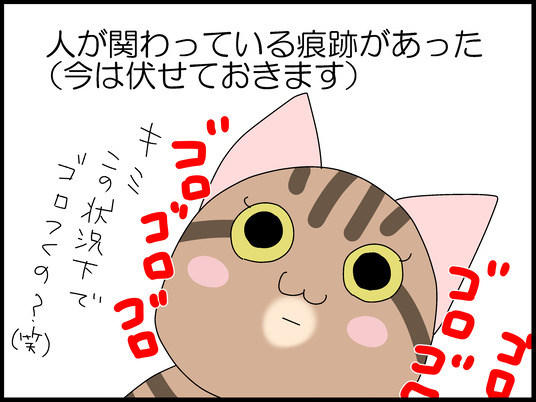 ブログ0013