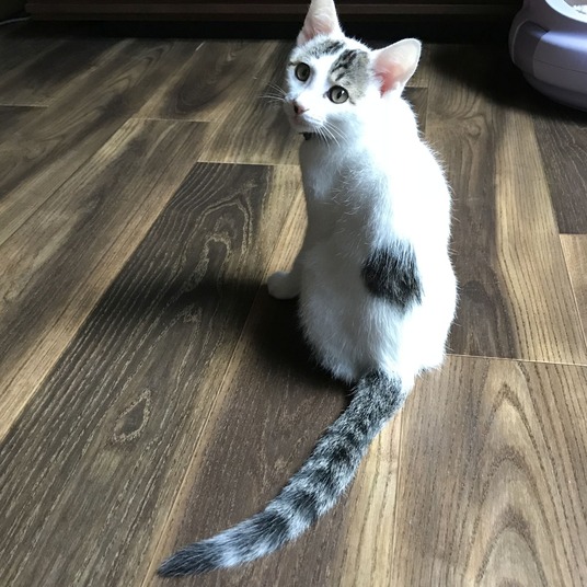 IMG_2484