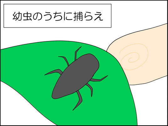 イラスト_002