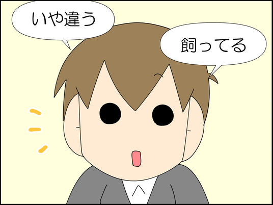 イラスト_007