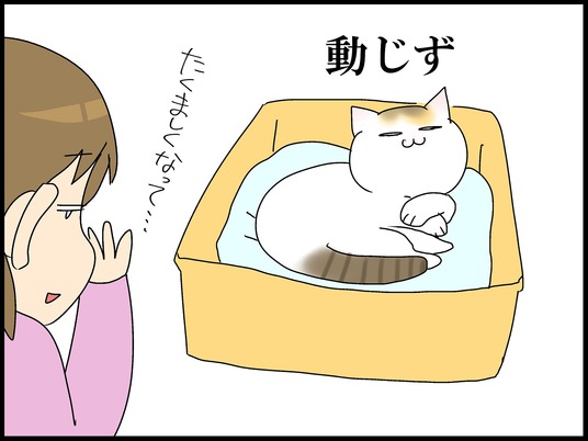 ブログ0005