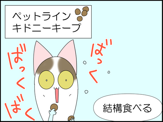 イラスト_030