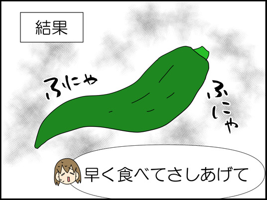 イラスト_019