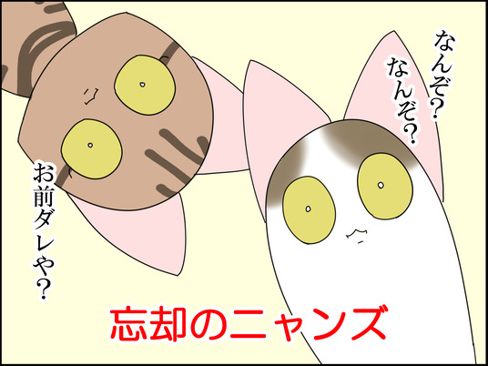 イラスト_005