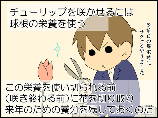 イラスト_009