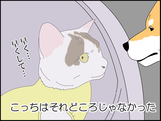 イラスト_067