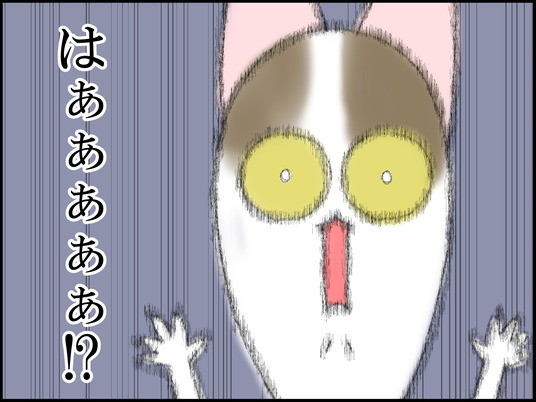 イラスト_011