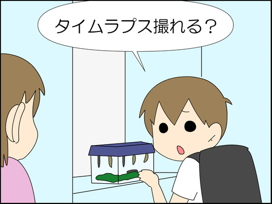 イラスト_015