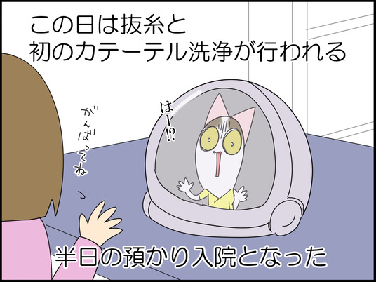 イラスト_056